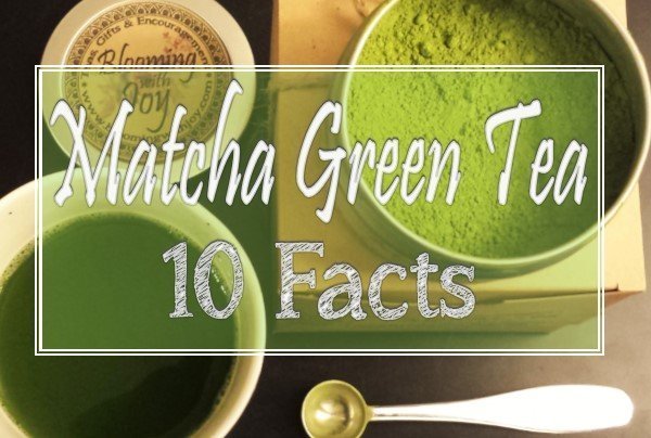 matcha green tea