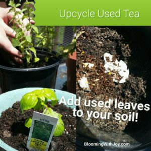 Organic Tea Compost