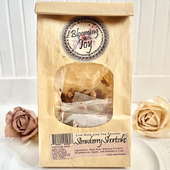 Strawberry Shortcake 6 Two Quart Sized Pouches